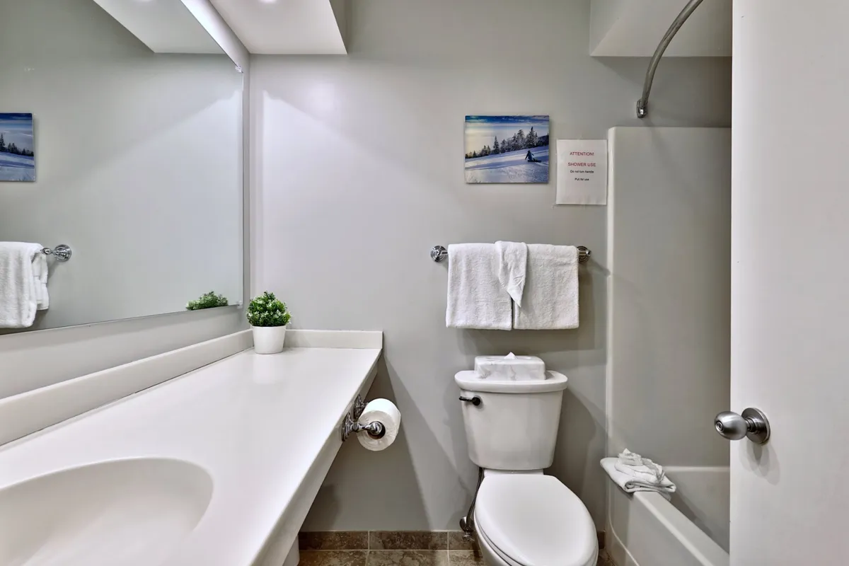 A bright, well-appointed bathroom with a spacious white sink, towels neatly folded, a large mirror, and a decorative plant on the vanity. A piece of wall art adds a touch of Vermont charm. The ambiance is calm and tranquil, inviting guests to refresh and unwind.