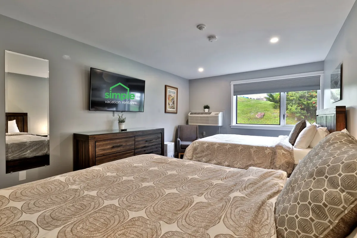 This image shows a welcoming studio layout with two beds featuring patterned bedding, a large wall-mounted TV, a mirror that reflects more of the room, and a window with a view of greenery outside. The arrangement gives a sense of spaciousness and comfort, with all main sleeping and relaxation areas clearly visible.